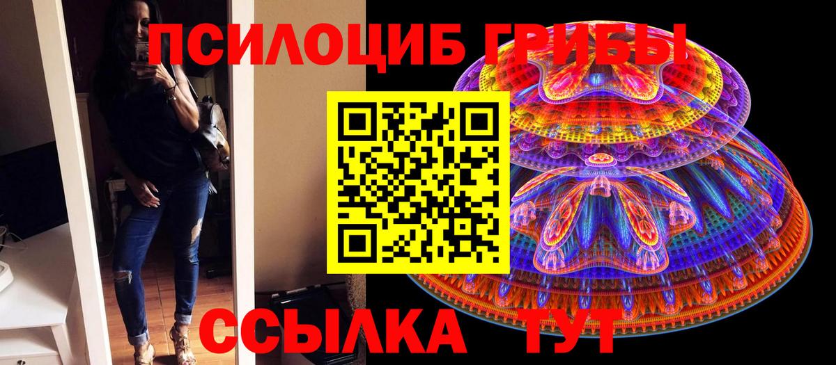 Псилоцибиновые грибы Cubensis Подольск